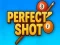 Oyunu Perfect Shot çevrimiçi