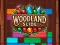 Oyunu Woodland Slide çevrimiçi