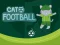 Oyunu Cat Football çevrimiçi