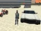 Oyunu City Simulator çevrimiçi