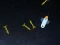 Oyunu 5 Minutes in Space çevrimiçi