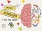 Oyunu Brain Puzzles Quests çevrimiçi