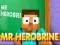 Oyunu Mr Herobrine çevrimiçi