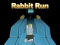 Oyunu Rabbit Run 3D çevrimiçi