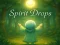 Oyunu Spirit Drops çevrimiçi
