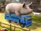 Oyunu Driver Master Simulator çevrimiçi