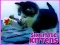 Oyunu Six Little Kittens çevrimiçi