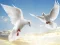 Oyunu Flying Birds çevrimiçi
