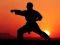 Oyunu Karate Sunset Warriors çevrimiçi