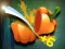 Oyunu Veggie Slicer çevrimiçi