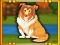 Oyunu Bernese Mountain Dog Escape çevrimiçi