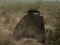 Oyunu Tank Battle çevrimiçi