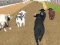 Oyunu Angry Bull Racing çevrimiçi