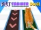 Oyunu Pet Trainer Duel çevrimiçi