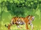 Oyunu Angry Tiger Coloring çevrimiçi