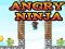 Oyunu Angry Ninja çevrimiçi