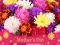 Oyunu 2019 Mother's Day Puzzle çevrimiçi