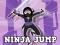 Oyunu Ninja Jump çevrimiçi