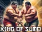 Oyunu King Of Sumo the ultimate brawl çevrimiçi