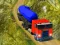 Oyunu Indian Cargo Truck Simulator çevrimiçi