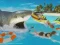 Oyunu La Shark çevrimiçi