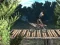 Oyunu Bike Trial Xtreme Forest çevrimiçi