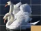 Oyunu Animals Slide Puzzle çevrimiçi
