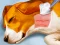 Oyunu Dog Hospital çevrimiçi