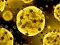 Oyunu Coronavirus Slide çevrimiçi
