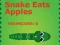 Oyunu Snake Eats Apples çevrimiçi