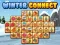 Oyunu Winter connect çevrimiçi