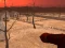 Oyunu Wasteland Shooters çevrimiçi