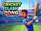 Oyunu Cricket Clash Pong çevrimiçi