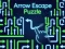 Oyunu Arrow Escape Puzzle çevrimiçi