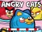 Oyunu Angry Cats çevrimiçi