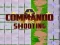 Oyunu Commando Shooting çevrimiçi
