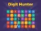 Oyunu Digit Hunter çevrimiçi