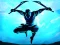 Oyunu Shadow Ninja Revenge çevrimiçi