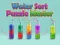 Oyunu Water Sort Puzzle Master çevrimiçi