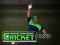 Oyunu Cricket Fielder Challenge çevrimiçi