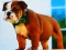 Oyunu Bulldog Puppy Puzzle çevrimiçi