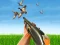 Oyunu Bird Hunting çevrimiçi