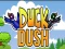 Oyunu Duck Dash çevrimiçi