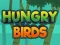 Oyunu Hungry Birds çevrimiçi