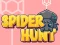 Oyunu Spider Hunt çevrimiçi