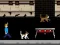 Oyunu Streamer Fashion Run çevrimiçi