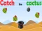 Oyunu Catch The Cactus çevrimiçi