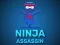 Oyunu Ninja Assassin çevrimiçi