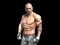 Oyunu Fight Arena Online çevrimiçi