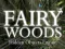 Oyunu Fairy Woods Hidden Objects çevrimiçi